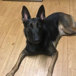 Meet your Posher, Amber